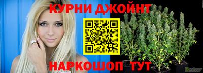apvp Краснодар
