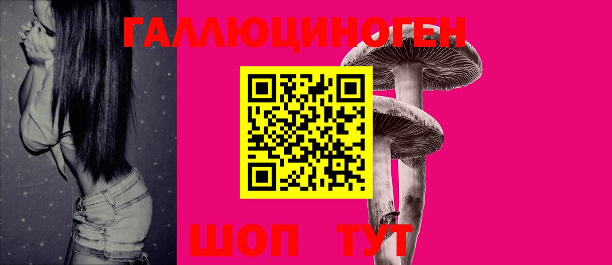 Галлюциногенные грибы Psilocybe  Вход с VPN  Псилоцибиновые грибы Psilocybine cubensis  Янаул 